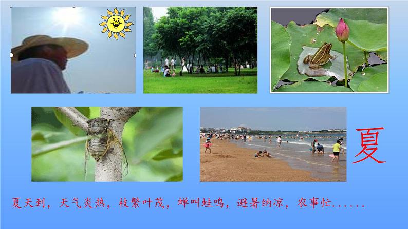 人教版鄂教版科学二年级下册2.6 春夏秋冬 PPT课件+教案+2个视频06