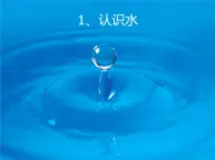 冀人版2017科學一下1.1《認識水》PPT課件+教學設計