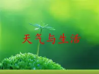 冀人版2017科學一下3.11《天氣與生活》PPT課件+教學設計