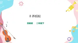 蘇教版二年級下冊 3.8 養(yǎng)螞蟻 PPT課件+教案+同步練習(xí)