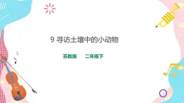 蘇教版二年級下冊 3.9 尋訪土壤中的小動物 PPT課件+教案+同步練習(xí)