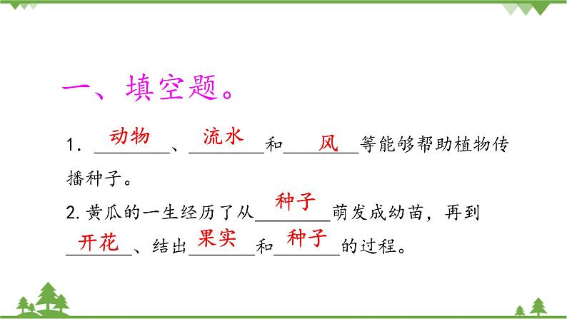 【精品资料】大象版 科学 三年级下册(全册)3.5《硕果累累》课件ppt+练习ppt02