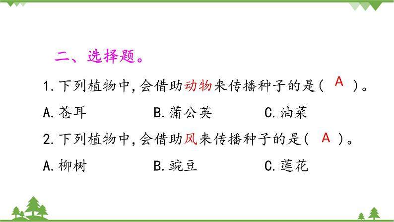 【精品资料】大象版 科学 三年级下册(全册)3.5《硕果累累》课件ppt+练习ppt03