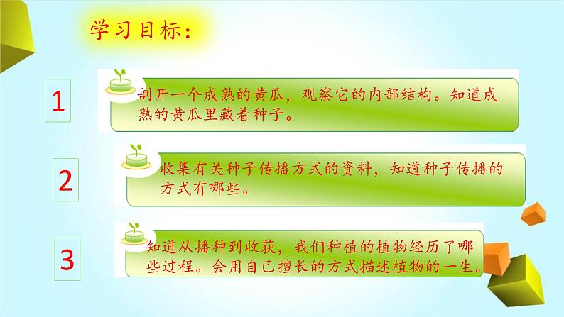 【精品资料】大象版 科学 三年级下册(全册)3.5《硕果累累》课件ppt+练习ppt02