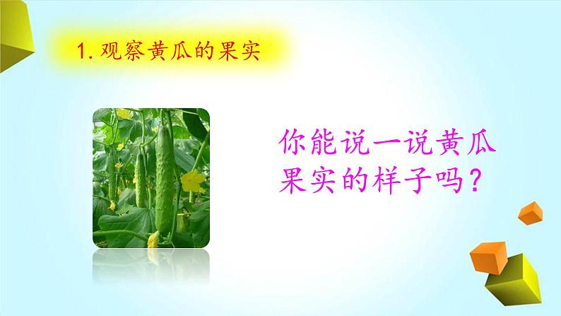 【精品资料】大象版 科学 三年级下册(全册)3.5《硕果累累》课件ppt+练习ppt04