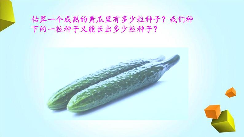 【精品资料】大象版 科学 三年级下册(全册)3.5《硕果累累》课件ppt+练习ppt06