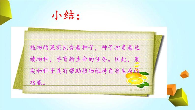 【精品资料】大象版 科学 三年级下册(全册)3.5《硕果累累》课件ppt+练习ppt07