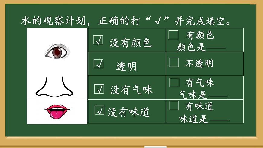 大象版科學(xué)一下1.1《 水的特征》PPT課件第6頁