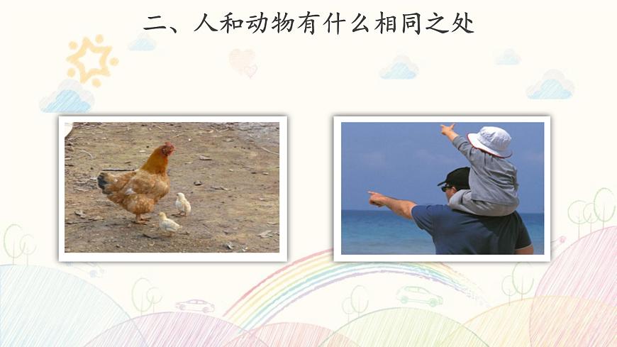 【教學(xué)課件】《動物 人》第4頁