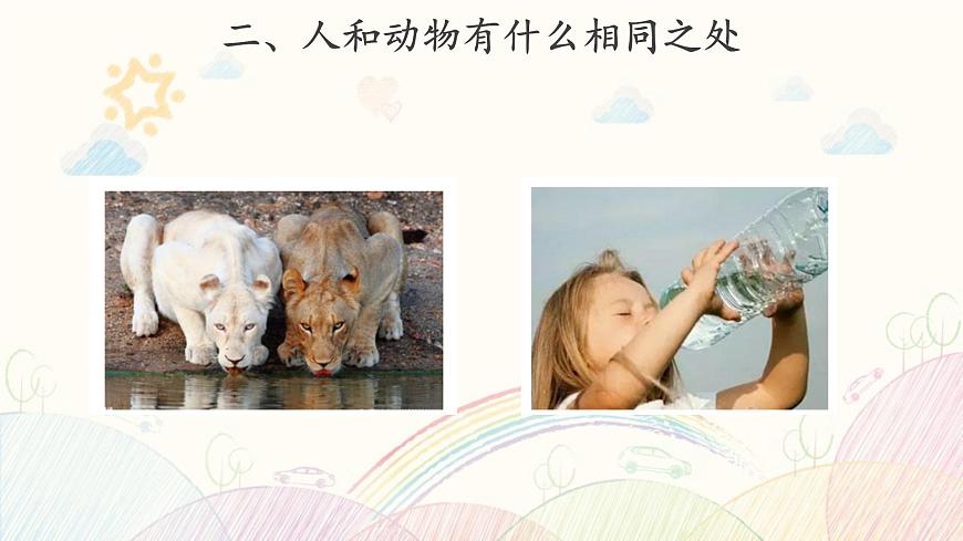 【教學(xué)課件】《動物 人》第5頁