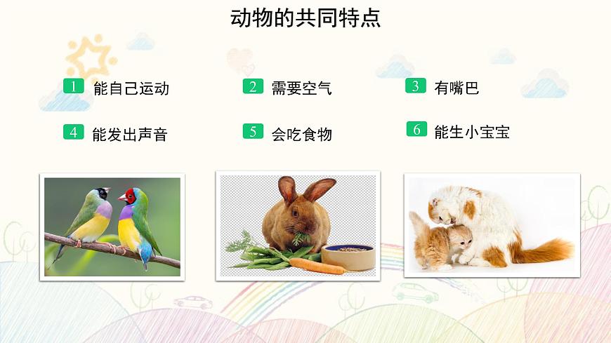 【教學(xué)課件】《動物 人》第6頁