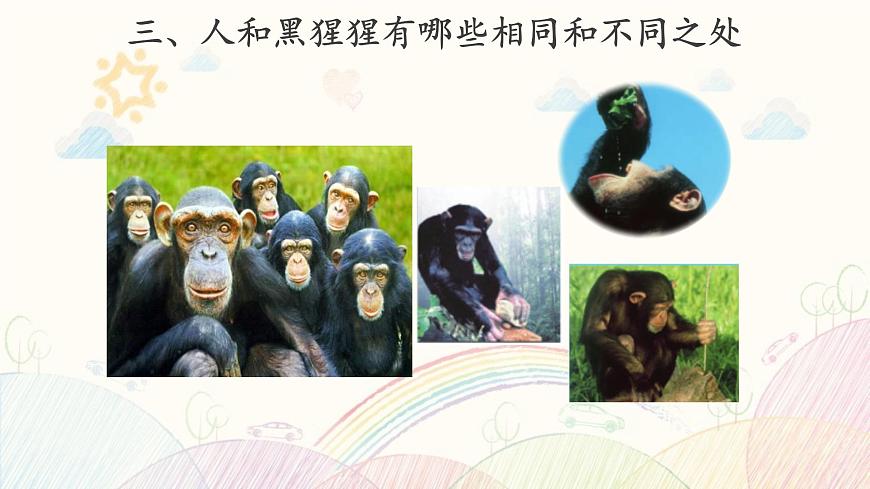 【教學(xué)課件】《動物 人》第7頁