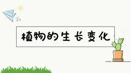 新教科版科学四年级下册：1.1《种子里孕育着新生命》PPT课件