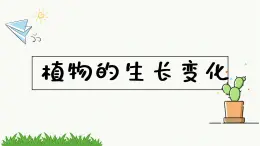 新教科版科学四年级下册：1.3《种子长出了根》PPT课件