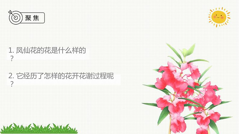 新教科版科学四年级下册:1.5《凤仙花开花了》PPT课件03