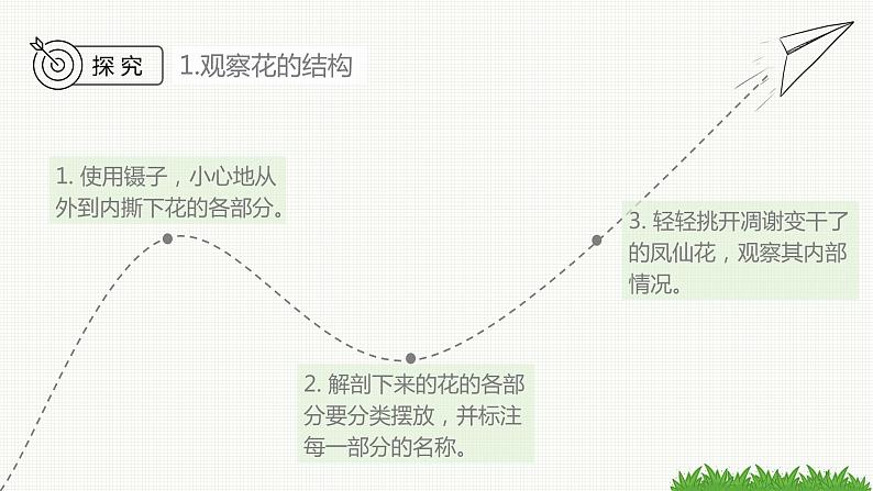 新教科版科学四年级下册:1.5《凤仙花开花了》PPT课件05