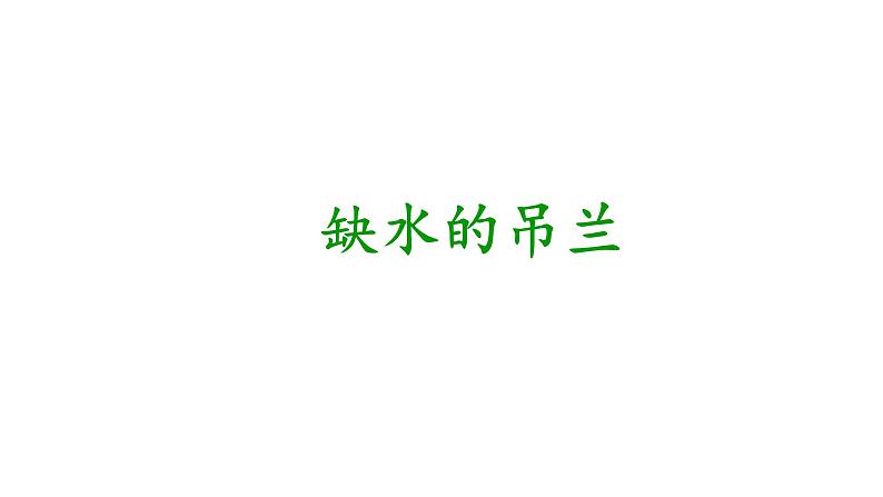 2.2缺水的吊兰 课件01