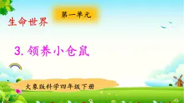 新大象版四年級下冊科學1.3領養(yǎng)小倉鼠 課件+教案+課件練習