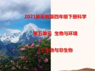 苏教版四年级下册科学15.生物与非生物课件__（无教案）