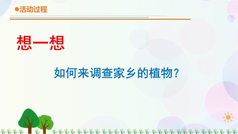 小学青岛版六三制201714调查家乡植物精品课件ppt