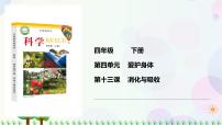 冀人版 (2017)四年级下册第四单元 爱护身体13 消化与吸收课文配套ppt课件
