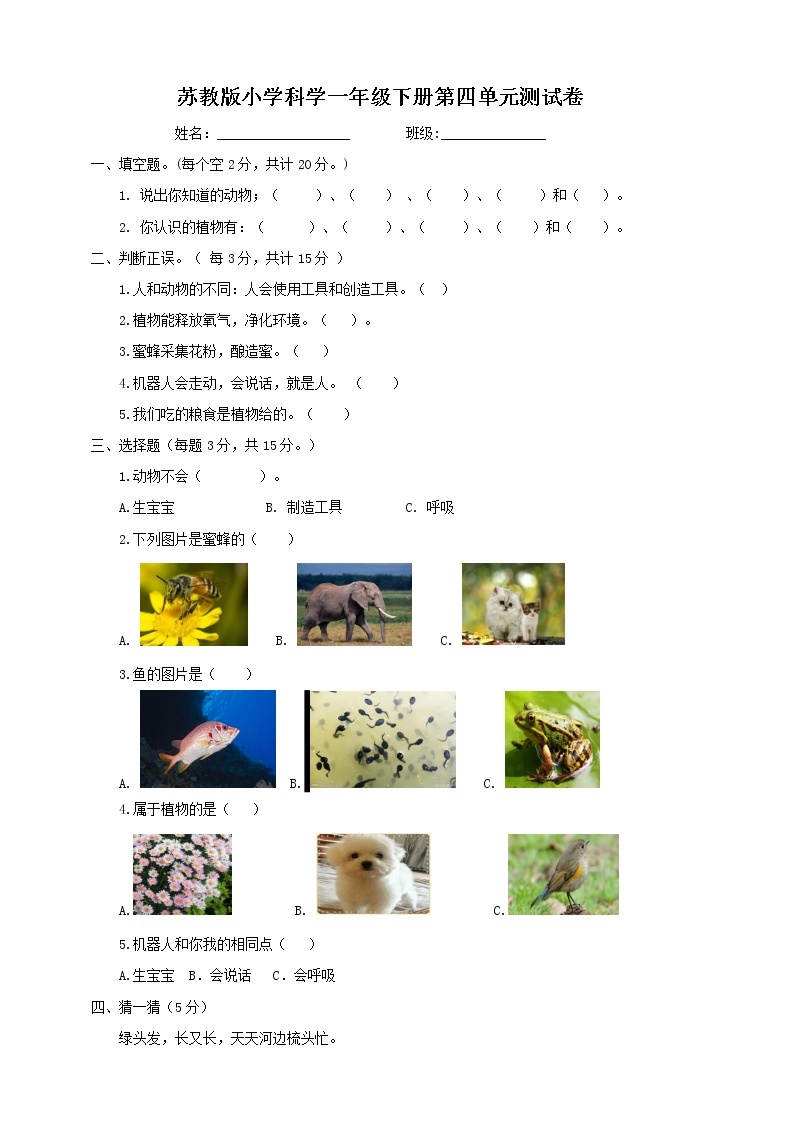 苏教版小学科学一年级下册第四单元 动物与植物 测试卷01