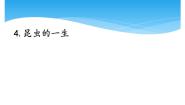 小学科学湘科版 (2017)四年级下册第二单元 动物的一生4 昆虫的一生精品课件ppt
