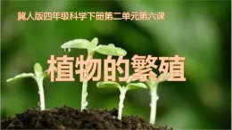 四年级科学下册6植物的繁殖PPT课件 冀人版