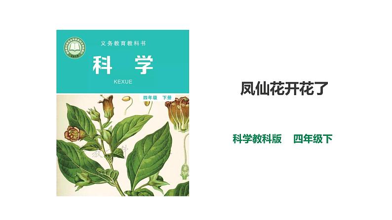 教科版(2017)四年级科学下册1.5《凤仙花开花了》课件+教案+视频01