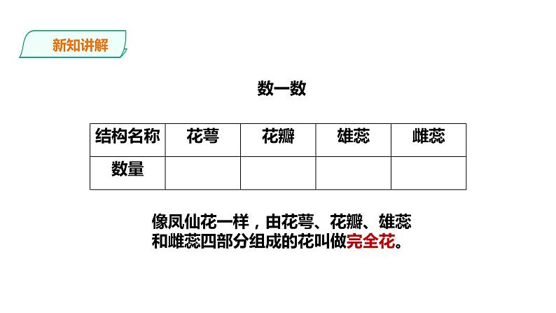教科版(2017)四年级科学下册1.5《凤仙花开花了》课件+教案+视频07