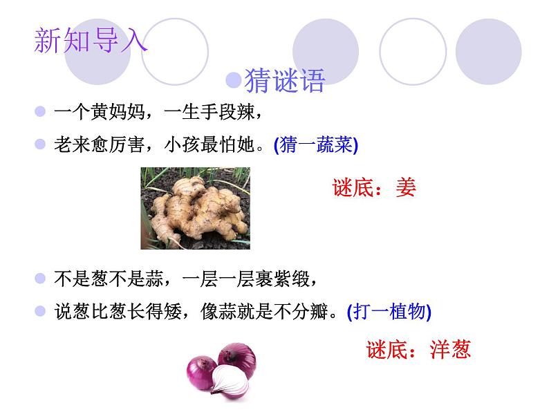 二年级下册科学课件 - 2.6 动手种蔬菜 粤教版 (共15张PPT)02