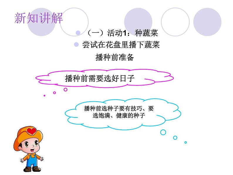 二年级下册科学课件 - 2.6 动手种蔬菜 粤教版 (共15张PPT)04
