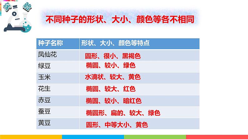 种子里孕育着新生命PPT课件免费下载05
