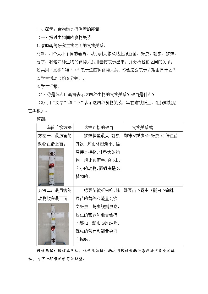 教科版(2017秋)五年级下册科学6《食物链与食物网》教学设计第3页