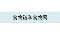 教科版（2017秋）五年级下册科学1.6《食物链与食物网》ppt课件