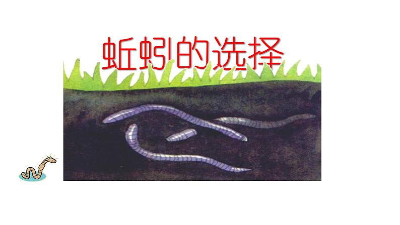 教科版(2017秋)五年级下册科学1.4《蚯蚓的选择》ppt课件01