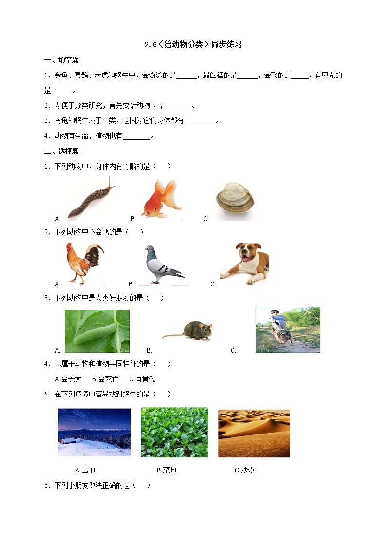 教科版一年级下册2.6《给动物分类》练习01