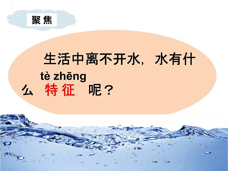 教科版一年级下册5 观察一瓶水 课件(13张PPT)+实验记录单+微课03