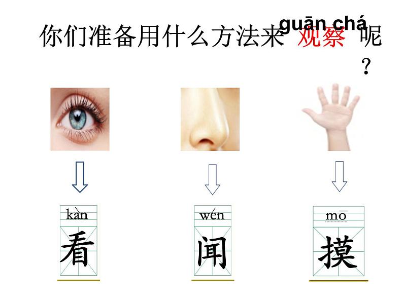 教科版一年级下册5 观察一瓶水 课件(13张PPT)+实验记录单+微课05