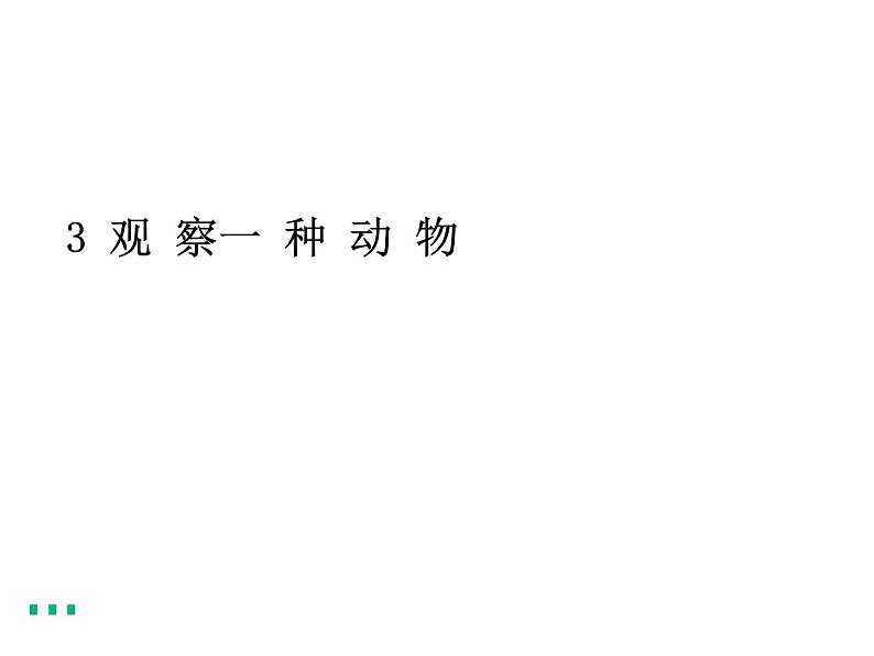 教科版一年级下册3.观察一种动物 微课+实验记录单+课件(18张PPT)01