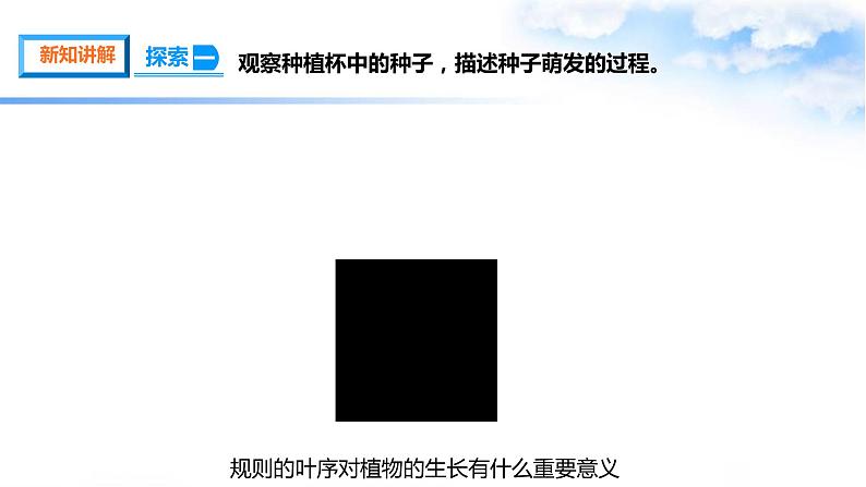 【课件(含素材)】1.4茎和叶 四年级下册科学 教科版08