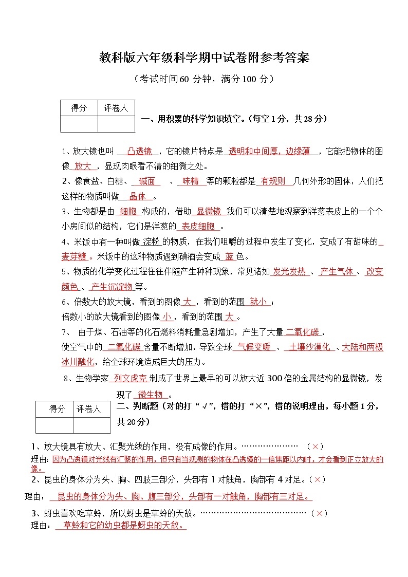 教科版科学下册六年级期中测试卷 word版，有答案 101