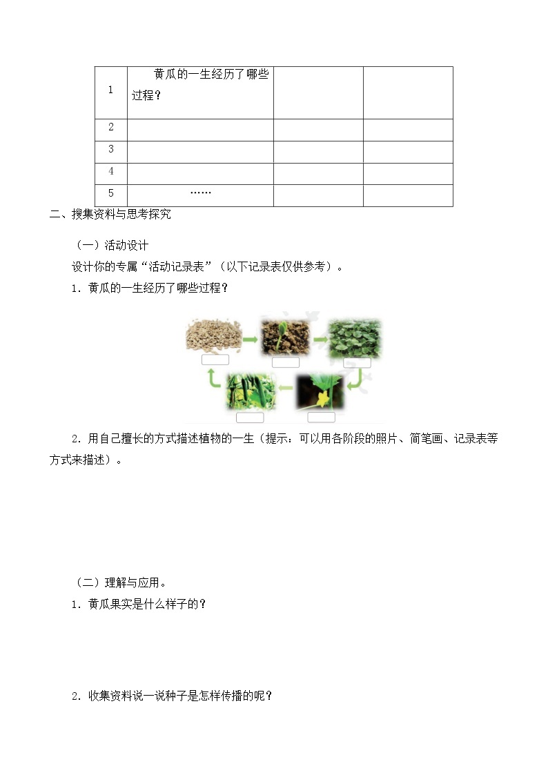 三年级下册科学导学案-第三单元5硕果累累 大象版（2017）02