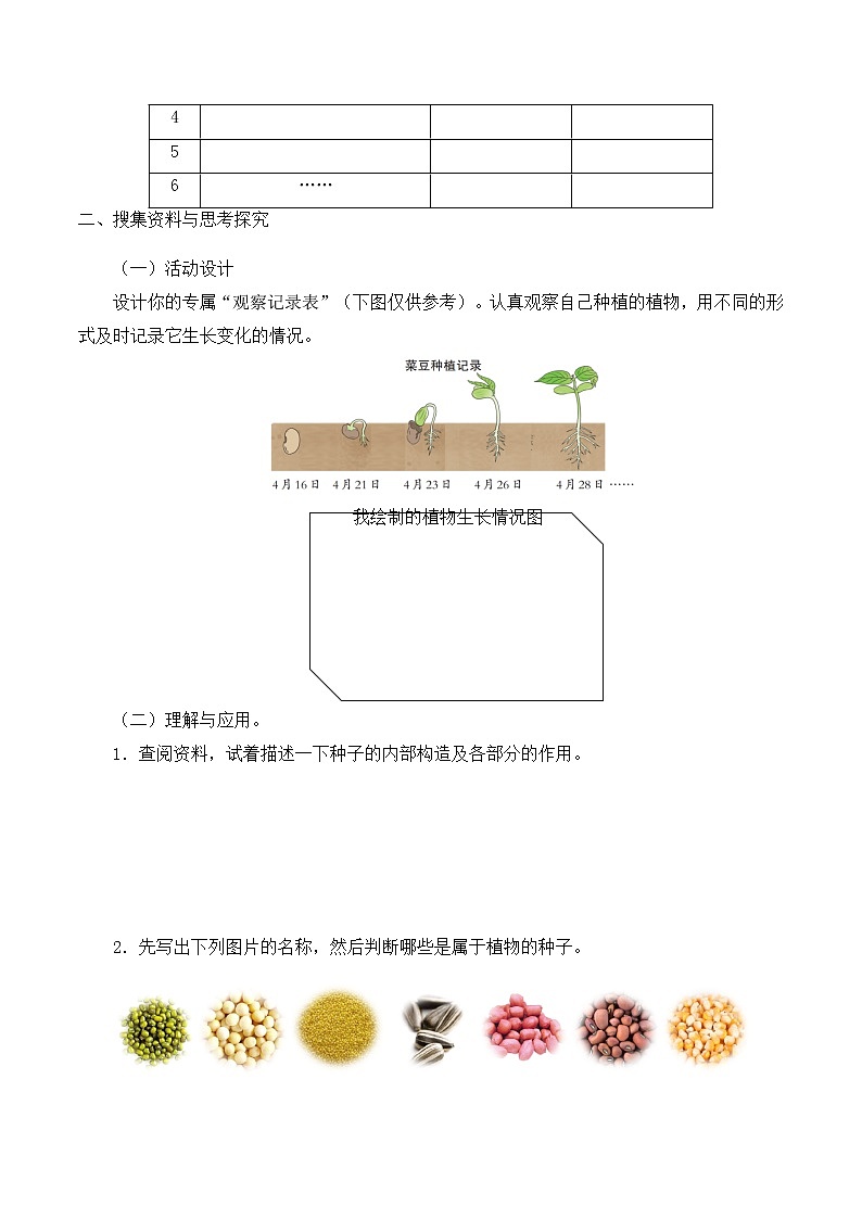 三年級下冊科學(xué)導(dǎo)學(xué)案-第三單元2播下希望的種子 大象版(2017)第2頁