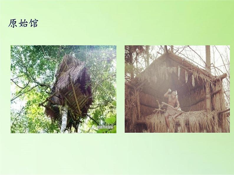三年级下册科学课件- 1.1房子的变迁 大象版(共30张PPT)05