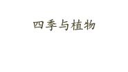 四季与植物PPT课件免费下载