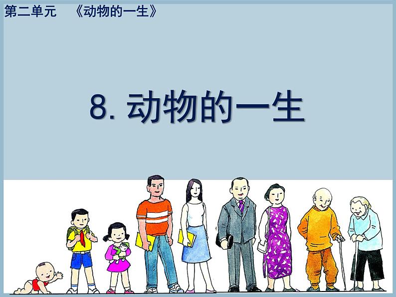 三年级下册科学课件第二单元第8课动物的一生教科版01