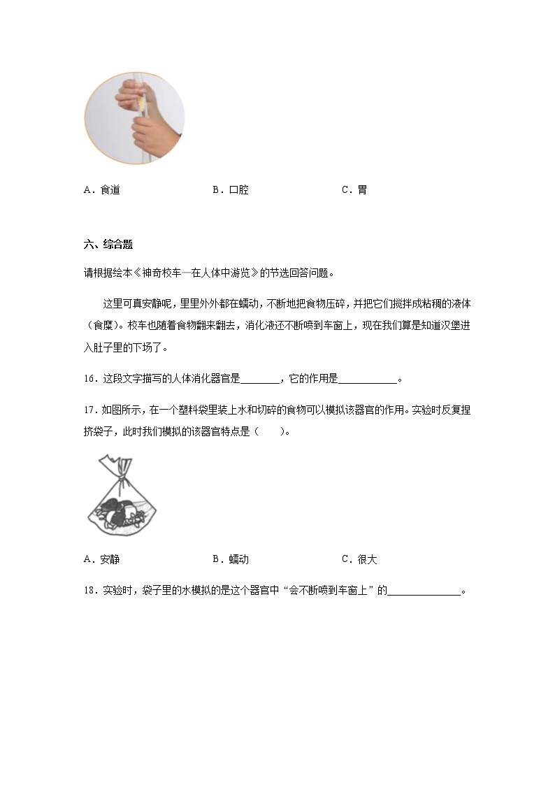 教科版四年级科学上册8.食物在身体里的旅行 习题（含答案）03