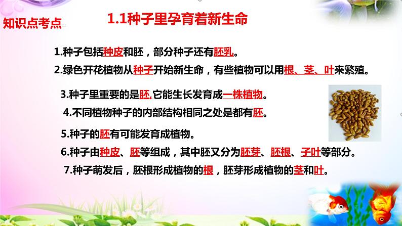 教科版科学四年级下册全册知识点归纳:总复习课件+实验部分+问答02