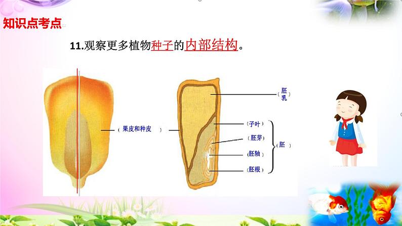 教科版科学四年级下册全册知识点归纳:总复习课件+实验部分+问答04